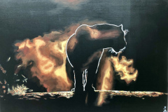 2576 Panter in het donker - Verkocht